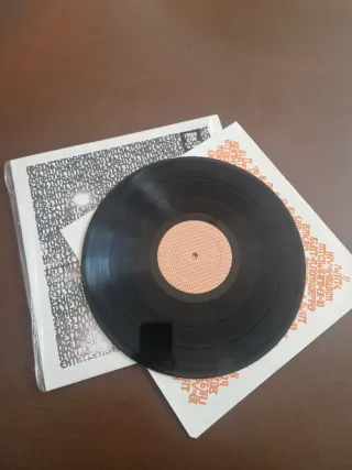 Panda Bear A Day With The Homies Vinile