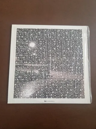 Panda Bear A Day With The Homies Vinile