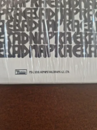 Panda Bear A Day With The Homies Vinile