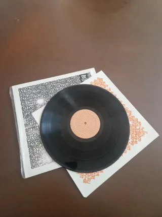 Panda Bear A Day With The Homies Vinile