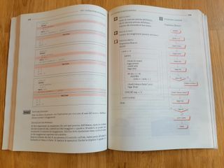 Le basi dell'informatica. I fondamenti della pr...