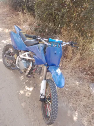 Pit Bike 125cc Motocross