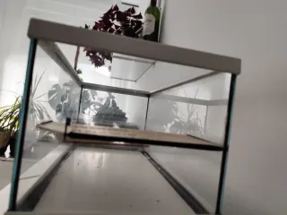 Terrario acuático tortugas pequeñas