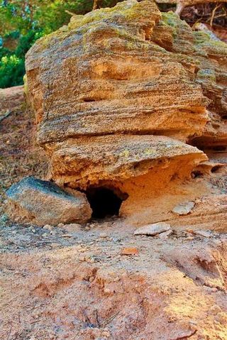 Chalet en alquiler en Llucmajor Interior en Llucmajor