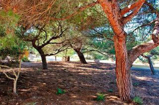 Chalet en alquiler en Llucmajor Interior en Llucmajor