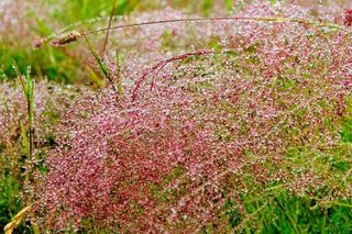Chalet en alquiler en Llucmajor Interior en Llucmajor