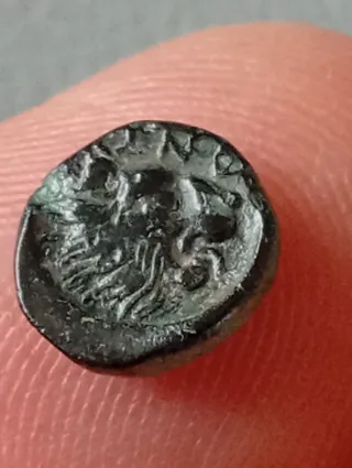 ≡ Espectacular Moneda griega Troas Antandros Leon