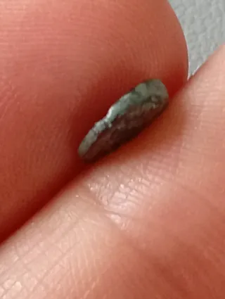 ≡ Espectacular Moneda griega Troas Antandros Leon