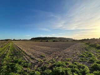 Solar en venta en Porreres