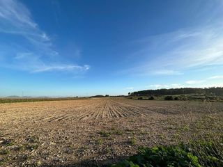 Solar en venta en Porreres