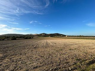 Solar en venta en Porreres