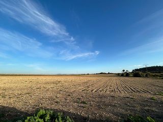 Solar en venta en Porreres