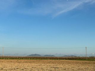 Solar en venta en Porreres