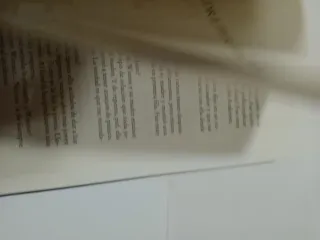 LIBRO LA MADRE PERFECTA