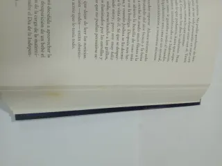 LIBRO LA MADRE PERFECTA