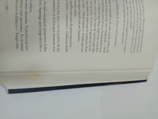 LIBRO LA MADRE PERFECTA