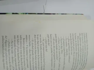 LIBRO LA MADRE PERFECTA