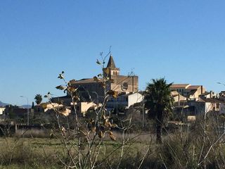 Terreno en venta en Porreres