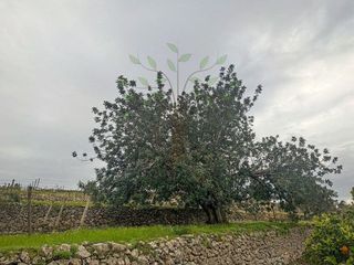 Chalet en alquiler en Sant Joan de Labritja