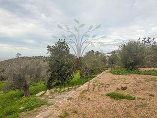 Chalet en alquiler en Sant Joan de Labritja