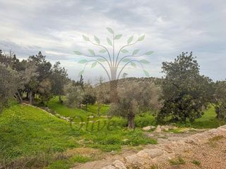 Chalet en alquiler en Sant Joan de Labritja