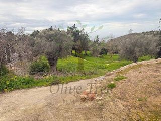 Chalet en alquiler en Sant Joan de Labritja