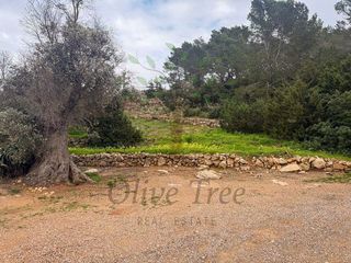 Chalet en alquiler en Sant Joan de Labritja