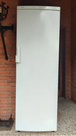 Congelador vertical Balay blanco