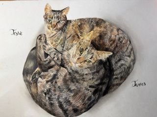 Dibujos de perro y gatos