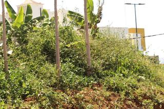 Terreno en venta en Victoria de Acentejo (La)