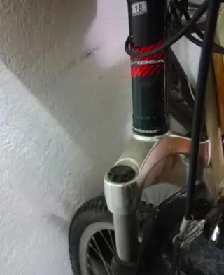 Bicicleta Orbea Zoom 386