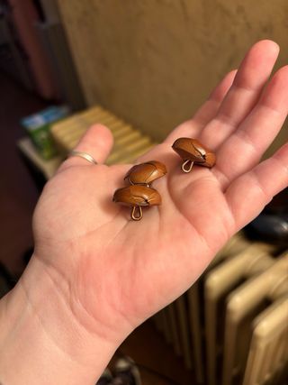 3 Bottoni Nuovi Ma Vintage Uguali,Sono Introvabili