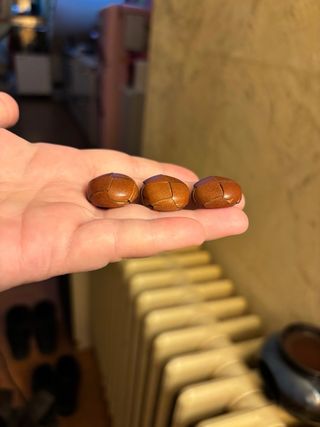 3 Bottoni Nuovi Ma Vintage Uguali,Sono Introvabili