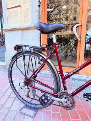 Bicicleta Paseo GIANT