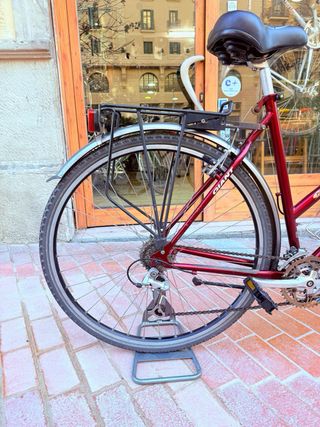 Bicicleta Paseo GIANT