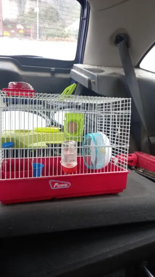 Jaula para hámster o cobaya nueva