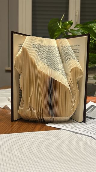 Book folding Gatto
