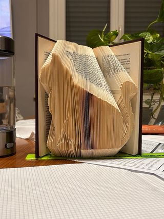 Book folding Gatto