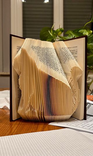 Book folding Gatto