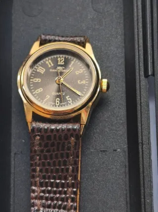 Reloj Giani-Giorgio Elegante Marrón/Dorado