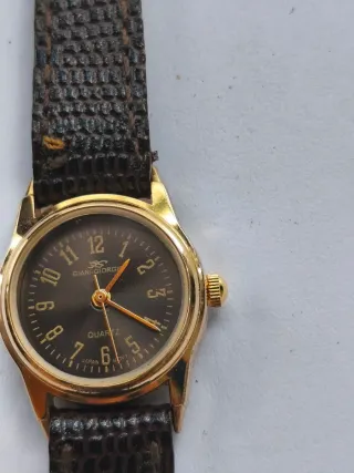 Reloj Giani-Giorgio Elegante Marrón/Dorado