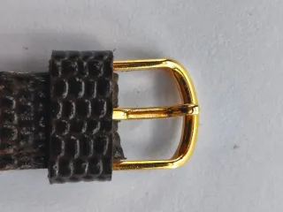 Reloj Giani-Giorgio Elegante Marrón/Dorado