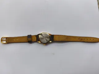 Reloj Giani-Giorgio Elegante Marrón/Dorado