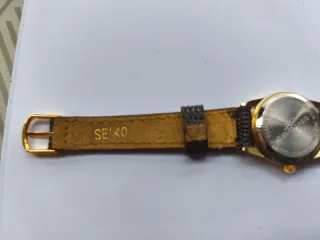 Reloj Giani-Giorgio Elegante Marrón/Dorado