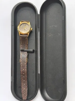 Reloj Giani-Giorgio Elegante Marrón/Dorado