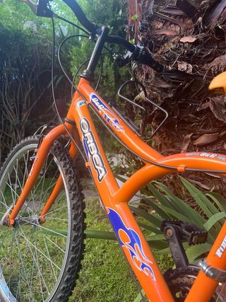 Bicicleta infantil Orbea 24” con marchas