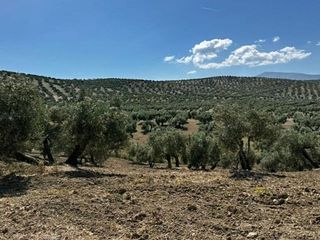 Terreno en venta en Torre del Campo