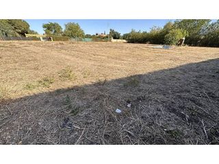 Terreno en venta en Carmona