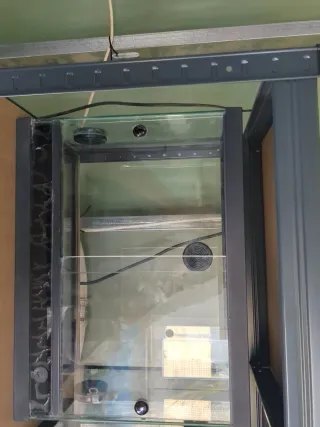 Terrario Negro y Transparente con placa de calor.