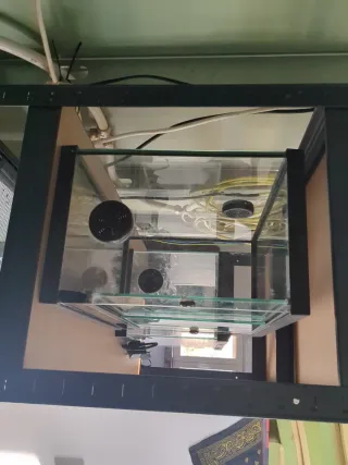 Terrario Negro y Transparente con placa de calor.